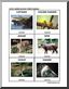 Flashcards: Rain Forest Mammals
